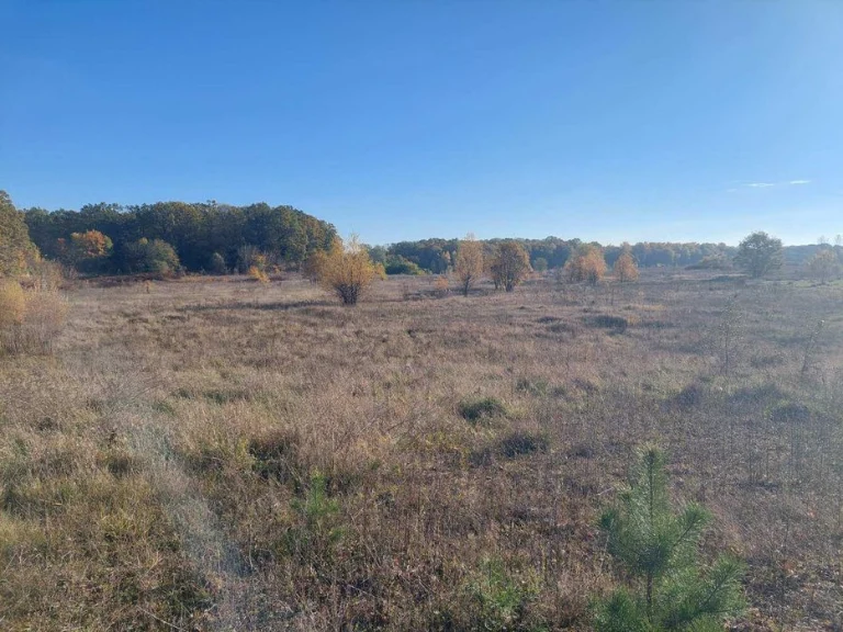 (5) Land plot for sale in the Old Town 6470