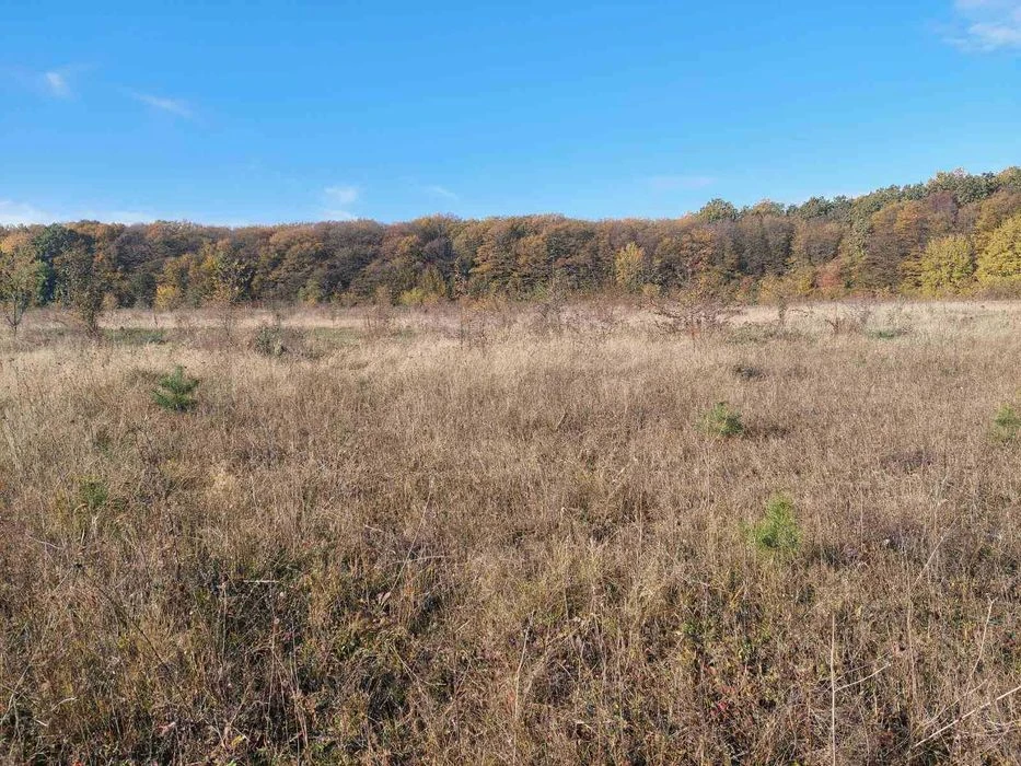 (5) Land plot for sale in the Old Town 6470