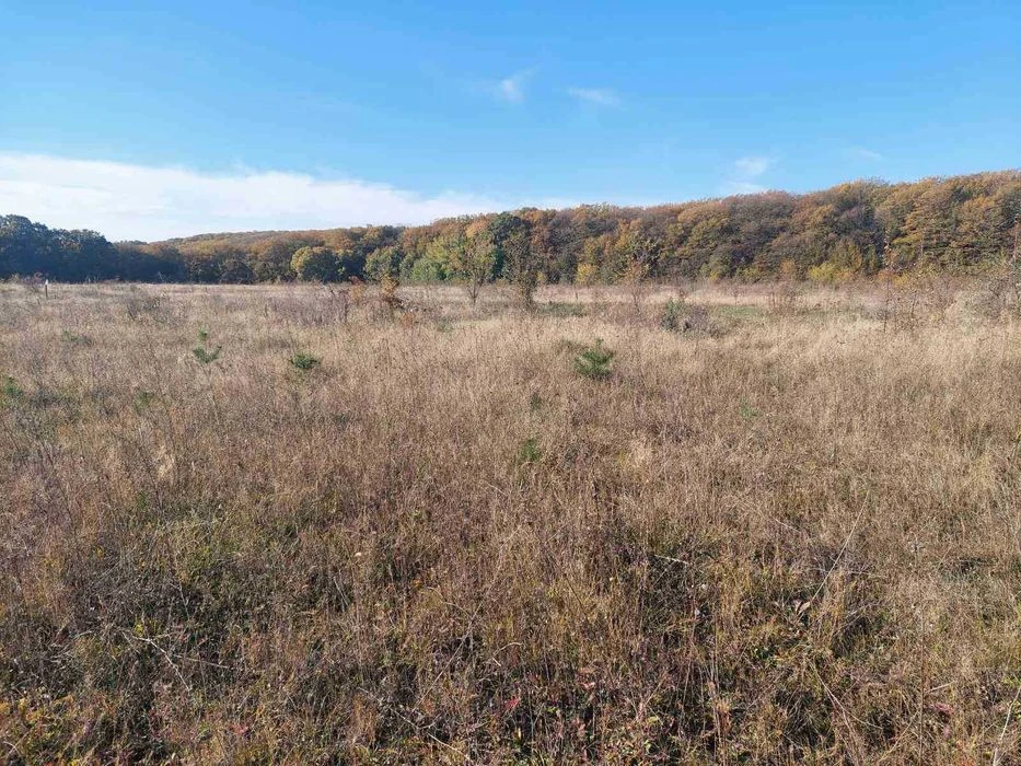 (5) Land plot for sale in the Old Town 6470