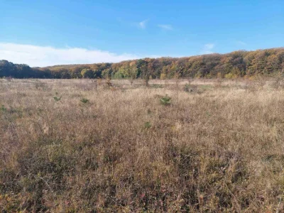 (5) Land plot for sale in the Old Town 6470