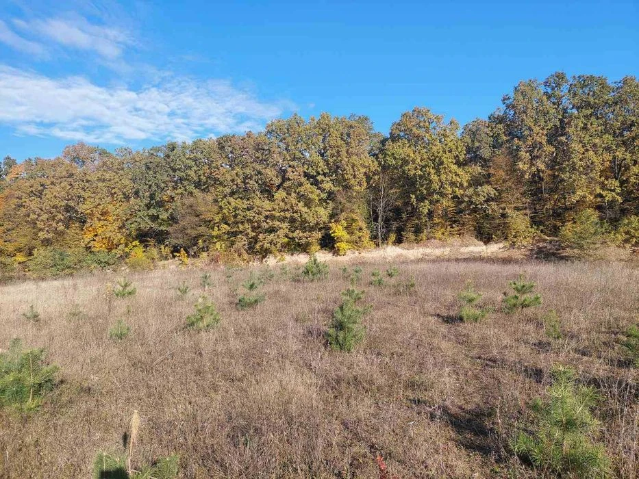 (5) Land plot for sale in the Old Town 6470