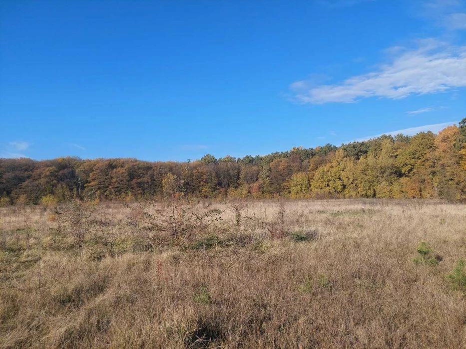 (5) Land plot for sale in the Old Town 6470