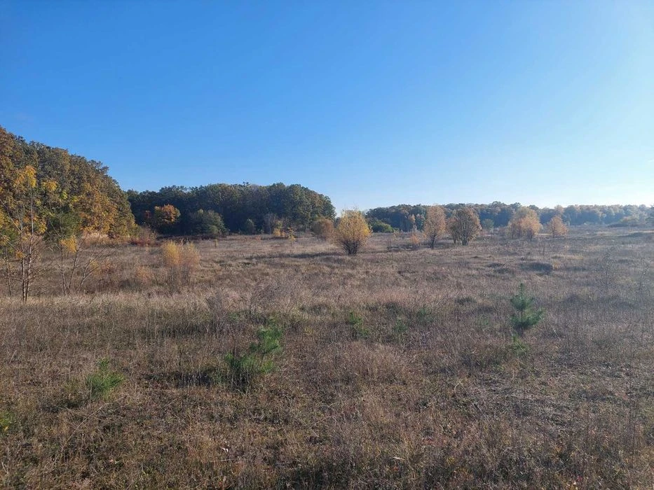 (5) Land plot for sale in the Old Town 6470