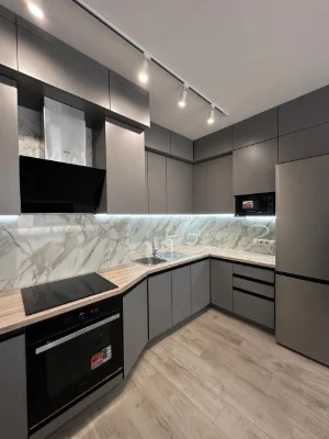 Аренда 2-комнатной квартиры 75.6 м², Александра Олеся ул., 1