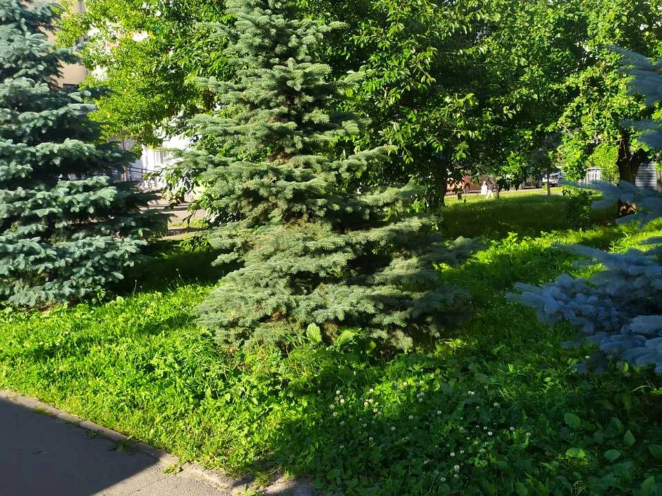 Квартира. Київ, Кадетський Гай вул.