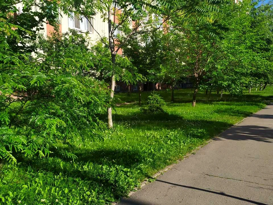 Квартира. Київ, Кадетський Гай вул.