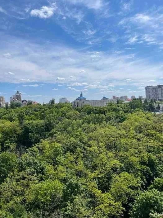 БЕЗ % СВОЯ 2 кім Ділова Тютюнника (Барбюса) Велика Васильків