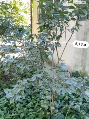 Продажа квартиры Черемушки.