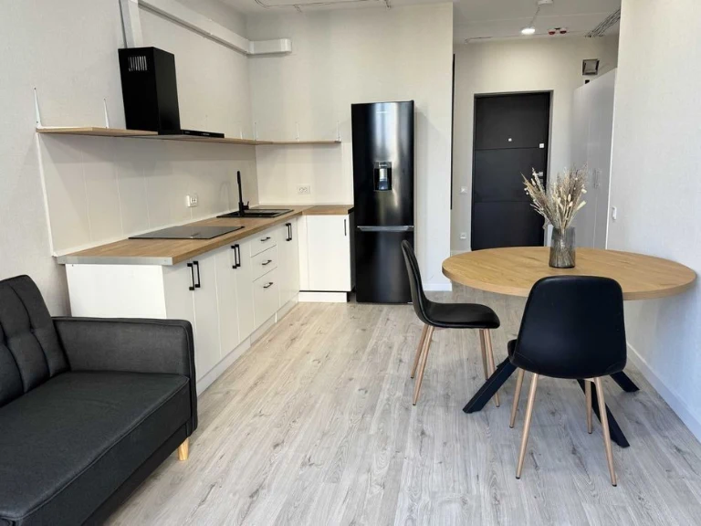 Stylish ready-made apartment in the new residential complex Dibrova Park | owner |