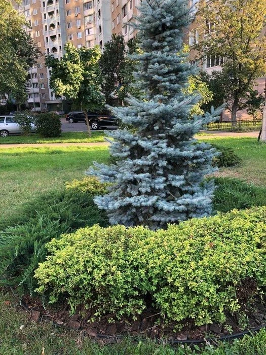 Аренда Кв 3р Маяковского 17а 3/16 76м Троещина Десн. р-н Кие