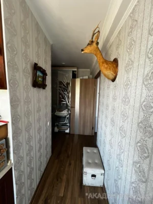 1-room apartment, 36 sq.m.
