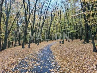 Продаж однокімнатної квартири, ЖК White lines, пр-т Голосіїв