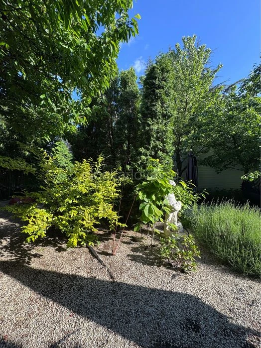 Commission 0%, New house 315m2 on Fontane, Fontane, there is a video