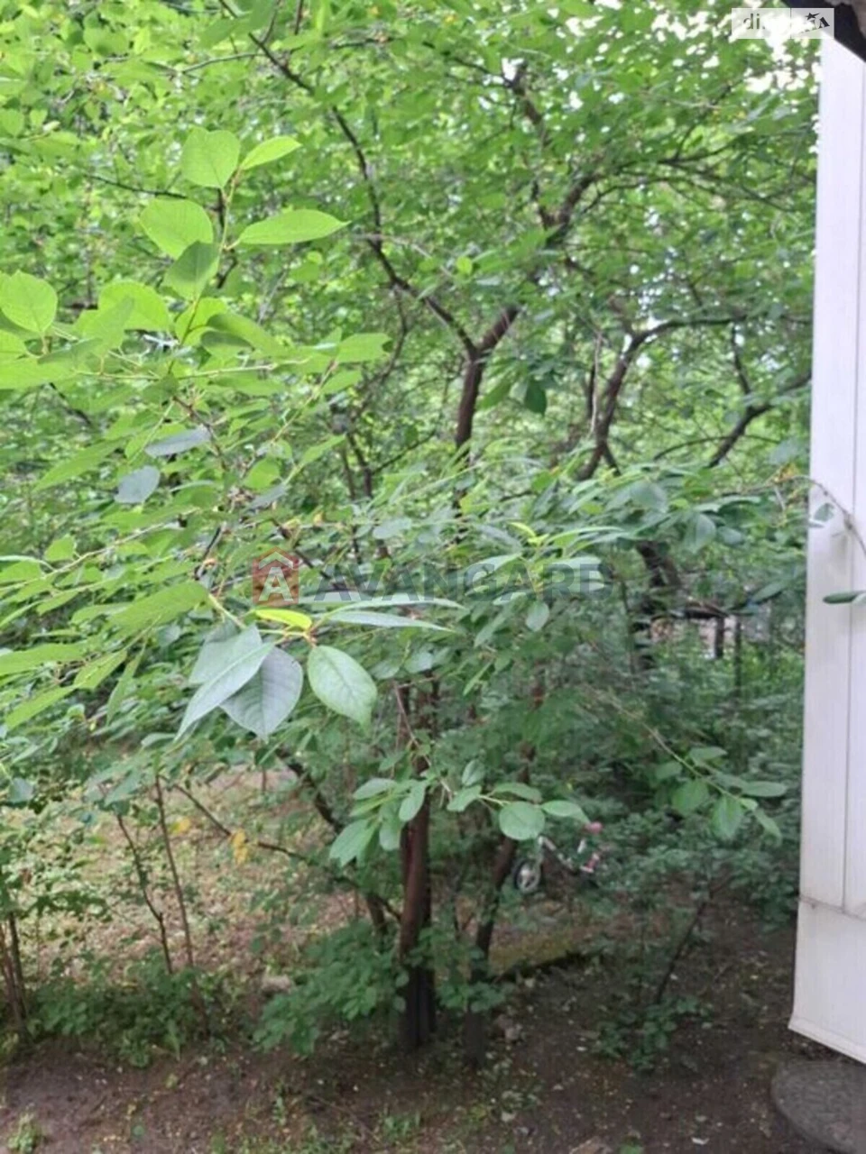 Продаж Квартира Франківський