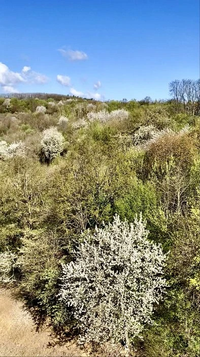 Продаж 2 кім квартири вул Малоголосківська