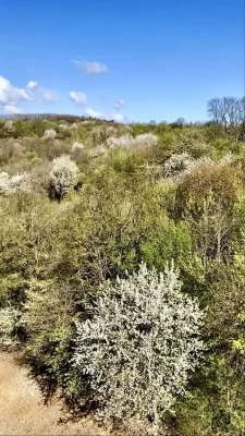 Продаж 2 кім квартири вул Малоголосківська