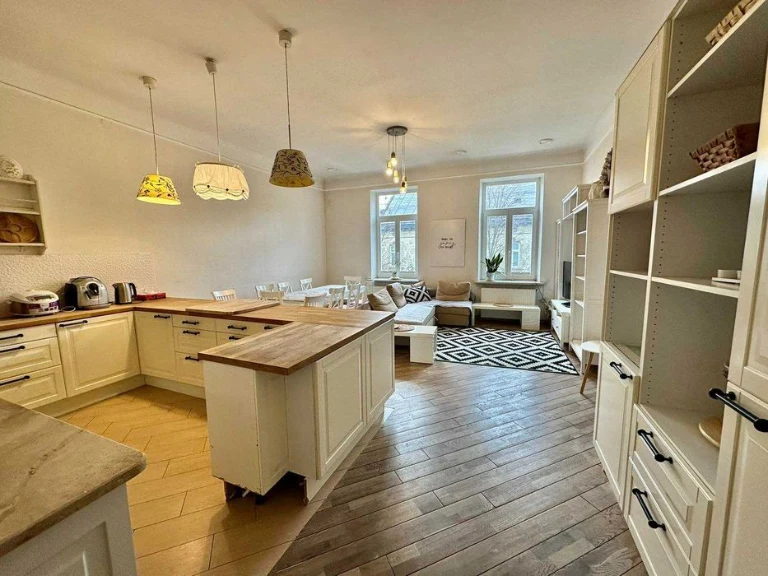 Продаж кухні-студії і 2 кім кв. (150м),вул.Грушевського.БЕЗ