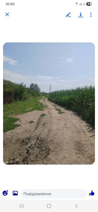 Горіховий сад + земельна ділянка