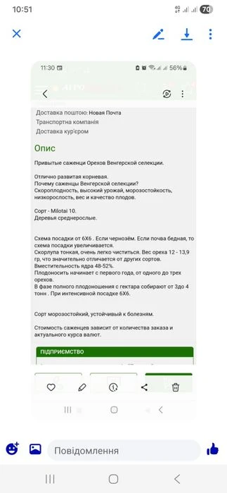 Горіховий сад + земельна ділянка