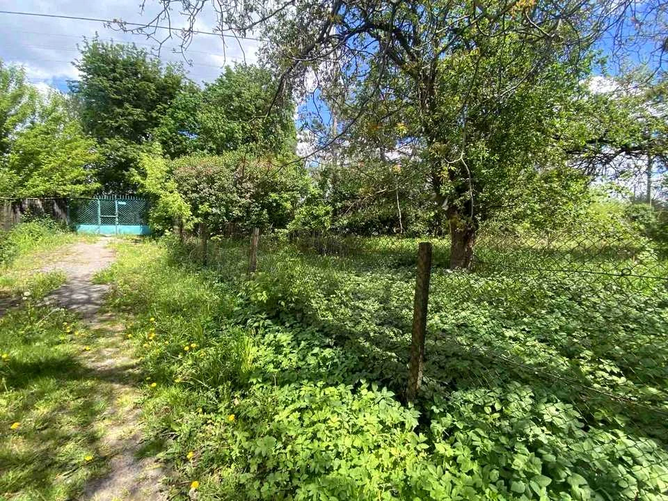 Будинок. Львів, Тараса Шевченка вул.