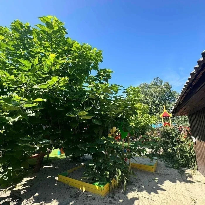 Оренда будинку 233 м², Лугова (Жуляны) вул.