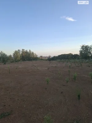 Продаж Ділянка під житлову забудову Червениця