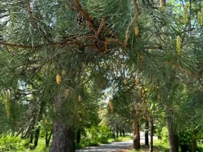 Будинок. Дніпро, Бориспільська