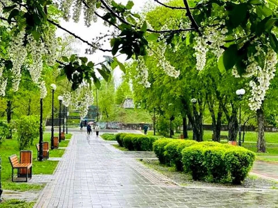 Квартира. Київ, Миколи Василенка вул.