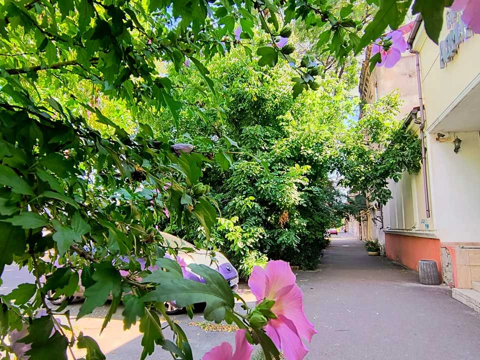 Квартира. Одеса, Середньофонтанська вул.