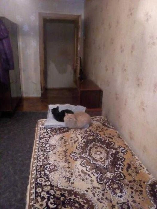 Продам 2 к кв Нові будинки