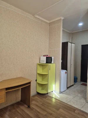 Selling a 1-room small apartment