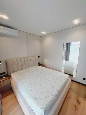 Оренда 1-кімнатної квартири 43 м², Сім'ї Костюків вул., Кост