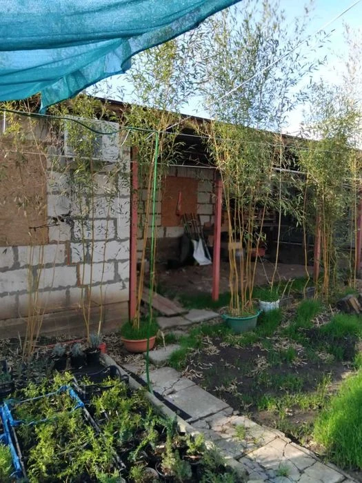 (4) house on the street Makarov in Chernomorka
