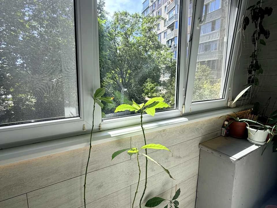 Квартира. Одеса, Наукова вул.