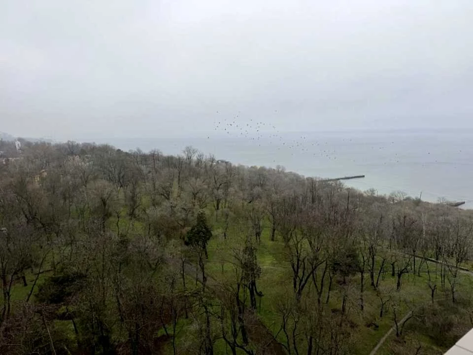 Квартира. Одеса, Французький бульв.