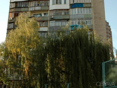 1-комнатная квартира, 31 кв.