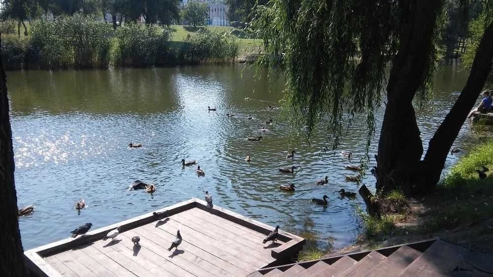 СДАМ ! ОТЛИЧНУЮ 1 км, 36/17/8, в самом НАЧАЛЕ Троещины.