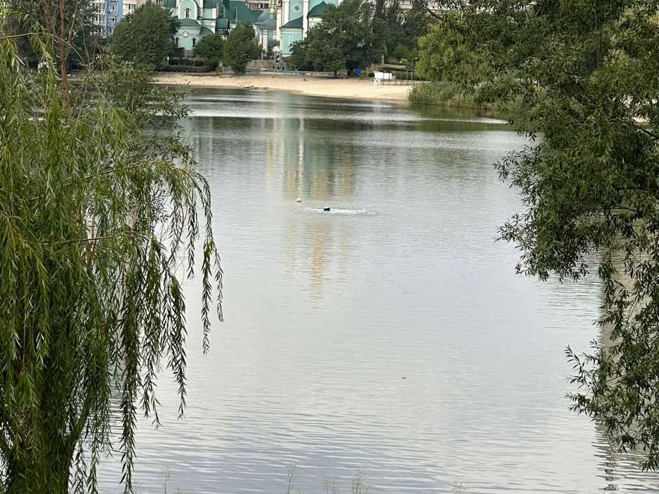 Квартира. Київ, Березняківська вул.