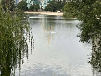 Квартира. Київ, Березняківська вул.