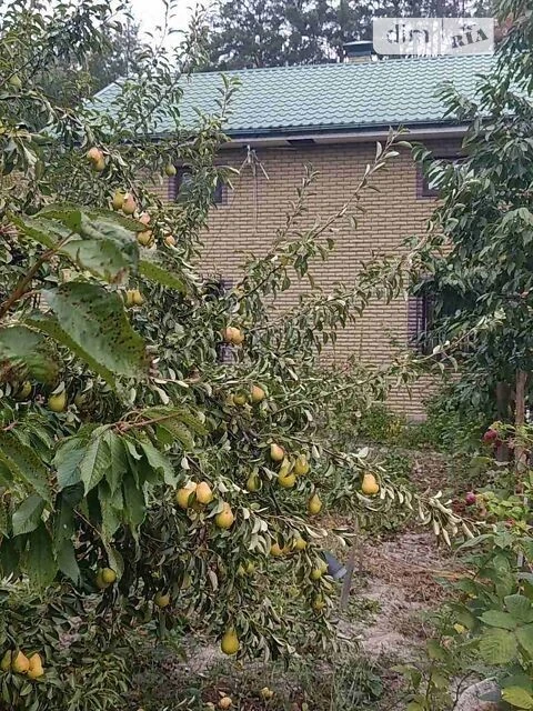 Продаж 2 поверхового будинку бесідка і ділянкою на 23 сотки,