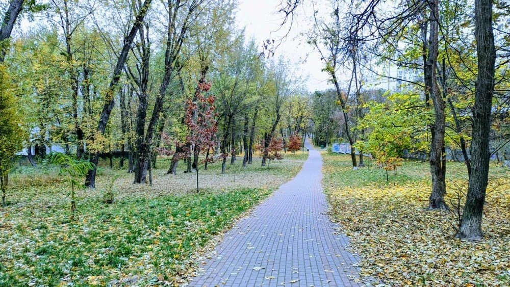 Продаж будинку на пл. Шевченка, в парку Крістерова гірка.
