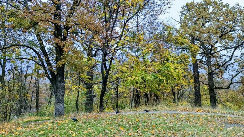 Продаж будинку на пл. Шевченка, в парку Крістерова гірка.