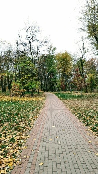 Продаж будинку на пл. Шевченка, в парку Крістерова гірка.