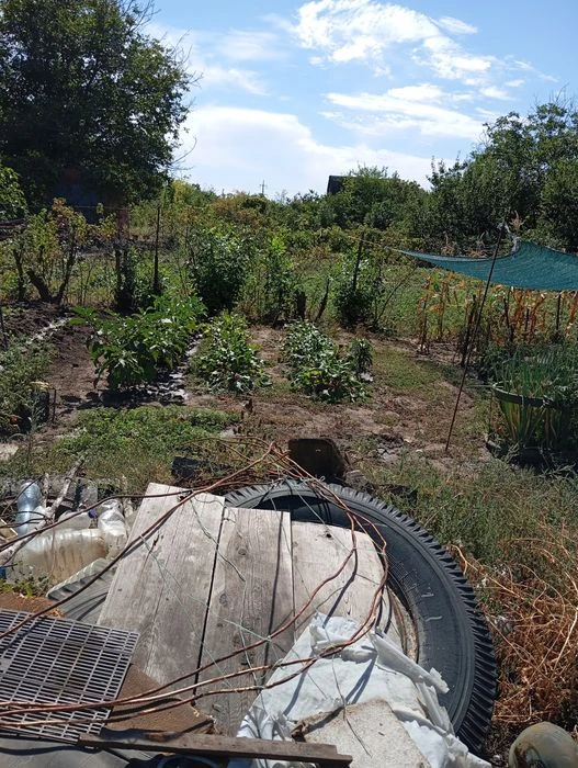 Продам дачу, общество "Колосок"