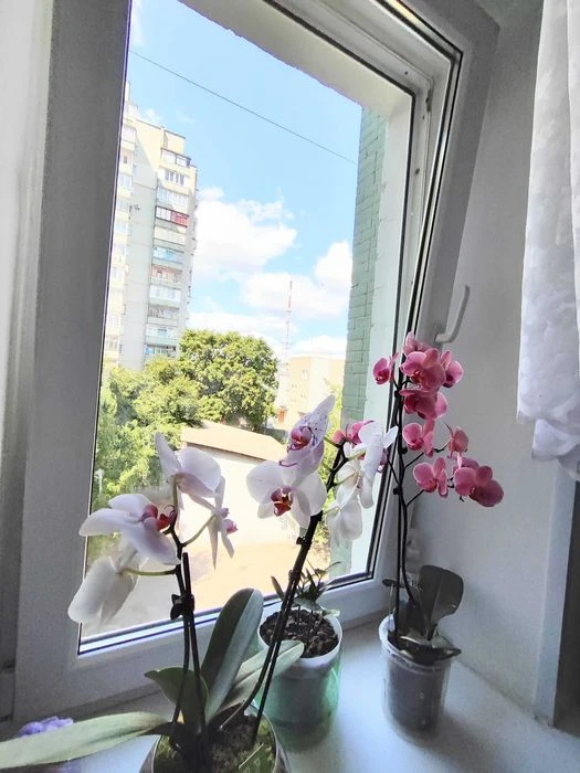 Продам 3-кімн.квартиру 62 м² у Центрі Чернігова, цегляний бу