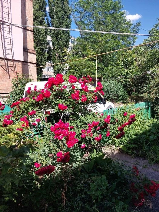 Продам 2к квартиру в Центрі по червоній лінії