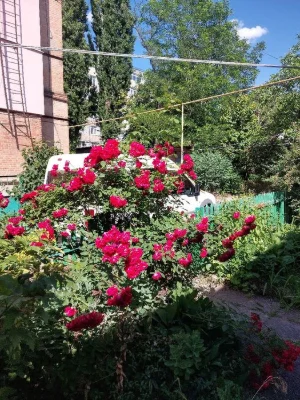 Продам 2к квартиру в Центрі по червоній лінії