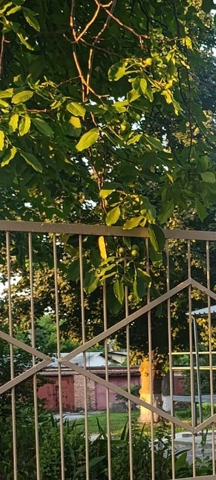 Без комиссий! Продам гараж. Метро Защитников Украины , Просп