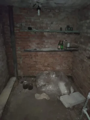 Капитальный гараж, тополь/12квартал