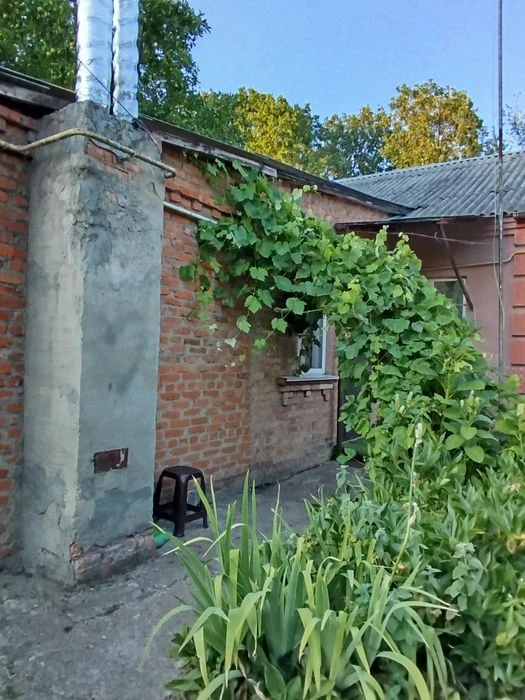 Частина будинку в статусі квартири з окремим подвір'ям та це